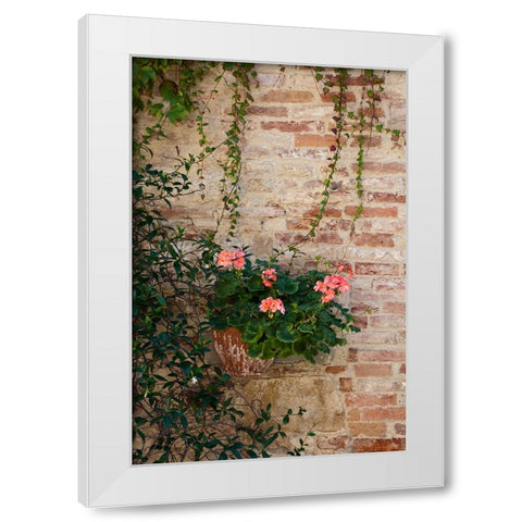 Italy-Tuscany-Montepulciano Geranium growing in a pot against an old brick building White Modern Wood Framed Art Print by Eggers, Julie