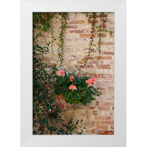 Italy-Tuscany-Montepulciano Geranium growing in a pot against an old brick building White Modern Wood Framed Art Print by Eggers, Julie