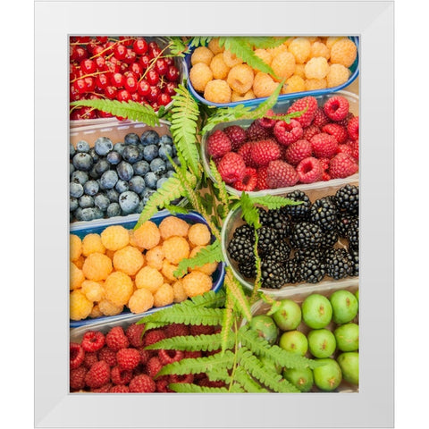 Italy-Venice A variety of berries on display and for sale in the Rialto Market White Modern Wood Framed Art Print by Eggers, Julie