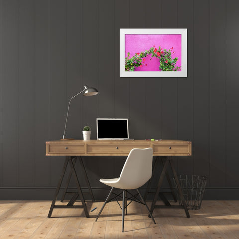 Italy-Venice-Burano Island Vining flowers against a bright pink wall on Burano Island White Modern Wood Framed Art Print by Eggers, Julie