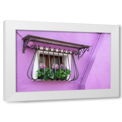 Italy-Venice-Burano Island Potted hydrangeas on a window sill of a lavender house White Modern Wood Framed Art Print by Eggers, Julie