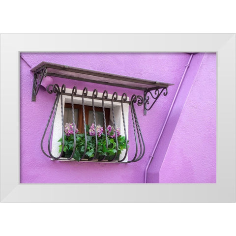 Italy-Venice-Burano Island Potted hydrangeas on a window sill of a lavender house White Modern Wood Framed Art Print by Eggers, Julie