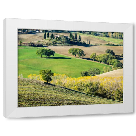 Italy-Tuscany Tuscan landscape White Modern Wood Framed Art Print by Eggers, Julie