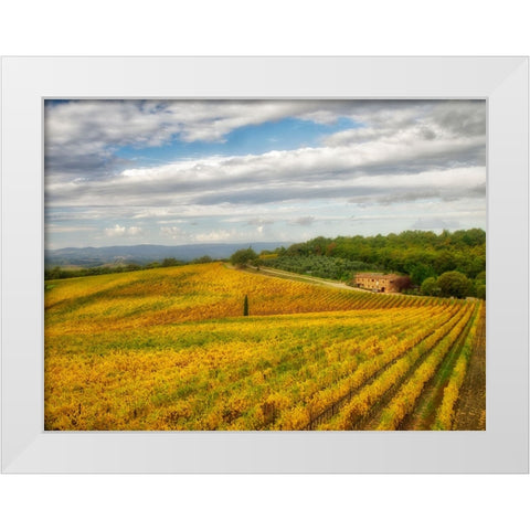 Italy-Tuscany Colorful vineyard in autumn White Modern Wood Framed Art Print by Eggers, Julie