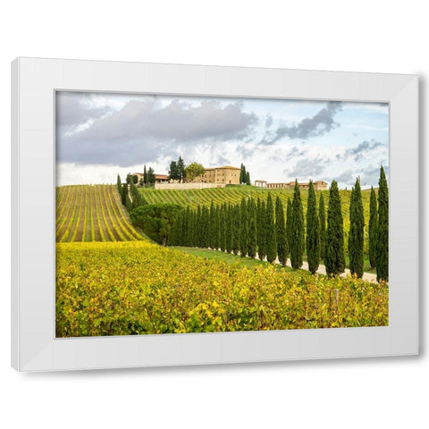 Italy-Tuscany Road lined with Italian cypress trees leading to a villa White Modern Wood Framed Art Print by Eggers, Julie