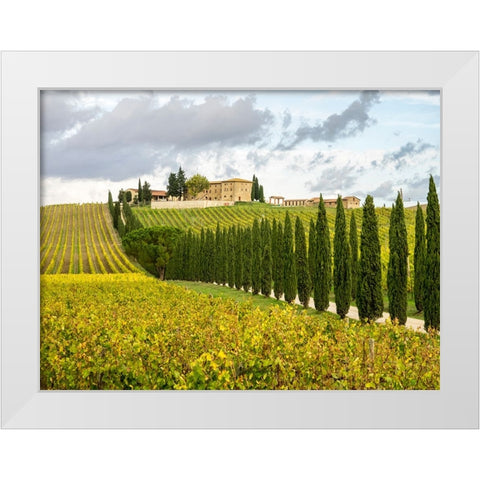 Italy-Tuscany Road lined with Italian cypress trees leading to a villa White Modern Wood Framed Art Print by Eggers, Julie