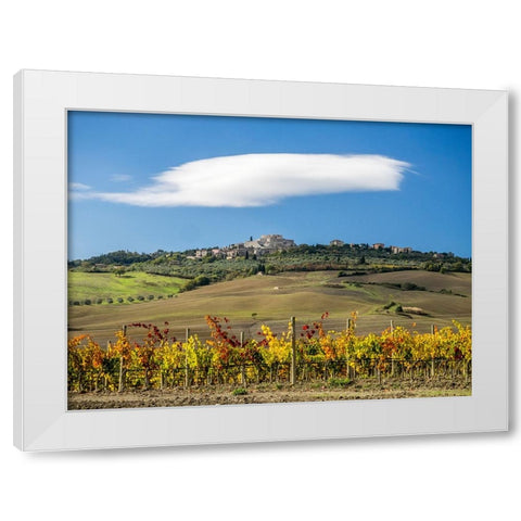 Italy-Tuscany Colorful vineyards in autumn with blue skies and clouds White Modern Wood Framed Art Print by Eggers, Julie