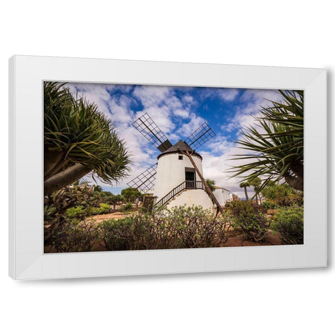 Canary Islands-Fuerteventura Island-Antigua-traditional island windmill White Modern Wood Framed Art Print by Bibikow, Walter