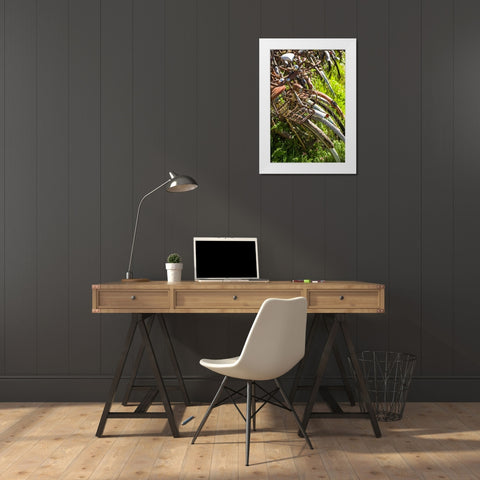 Sweden-Faro Island-Faro Broskogs-Creperie Tati-Kutens Bensin-hip former gas station now a restauran White Modern Wood Framed Art Print by Bibikow, Walter