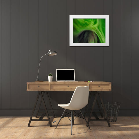 Northern lights over Angmagssalik Fjord-Greenland- Danish Territory White Modern Wood Framed Art Print by Zwick, Martin