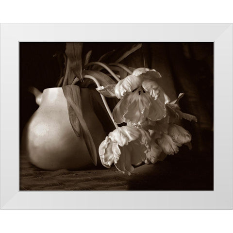 Sepia tone Tulips White Modern Wood Framed Art Print by Miller, Anna