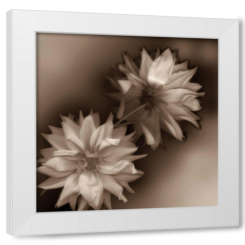 Sepia tone Dahlia White Modern Wood Framed Art Print by Miller, Anna