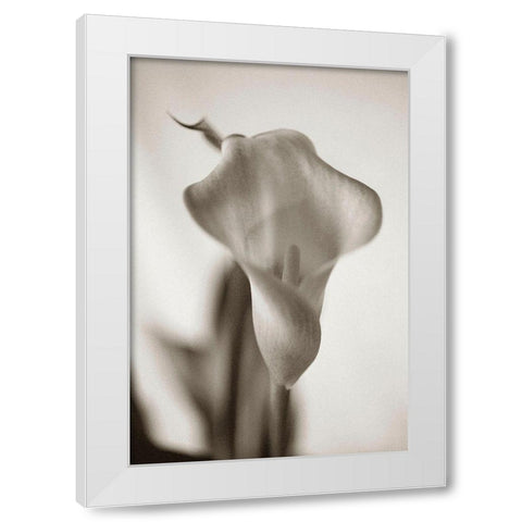 Sepia tone Calla Lily White Modern Wood Framed Art Print by Miller, Anna