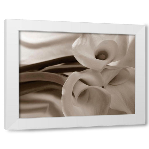 Sepia tone Calla Lily White Modern Wood Framed Art Print by Miller, Anna