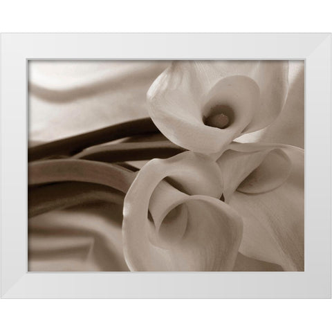 Sepia tone Calla Lily White Modern Wood Framed Art Print by Miller, Anna