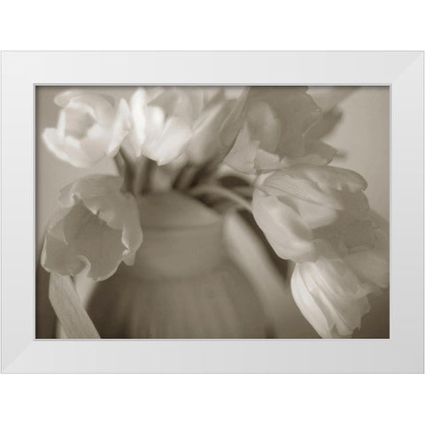 Sepia tone Tulips White Modern Wood Framed Art Print by Miller, Anna