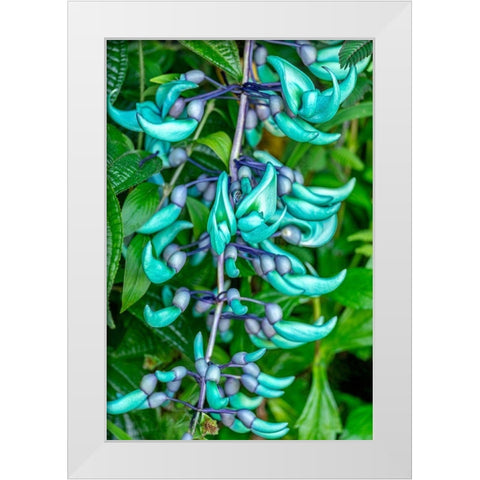 Jade vine White Modern Wood Framed Art Print by Engelbrecht, Lisa S.