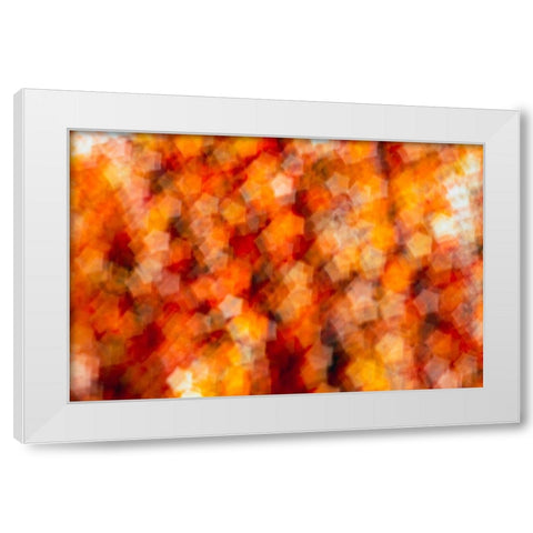 Colorful fabric detail White Modern Wood Framed Art Print by Muench, Zandria