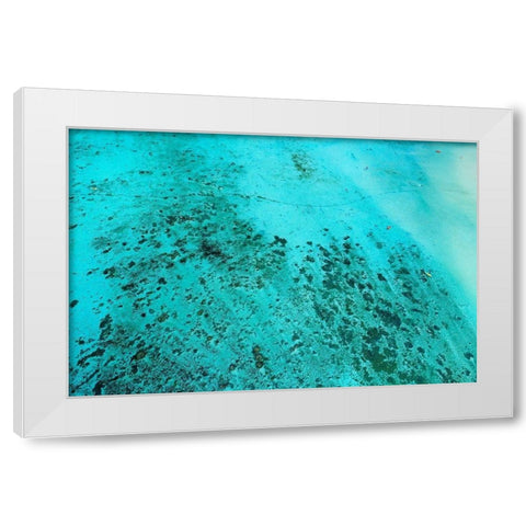 Reef-kayakers and paddle boarders-Muri Lagoon-Rarotonga-Cook Islands-South Pacific White Modern Wood Framed Art Print by Wall, David