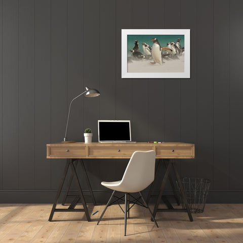 Bleaker Island Gentoo penguins and blowing sand White Modern Wood Framed Art Print by Illg, Cathy and Gordon
