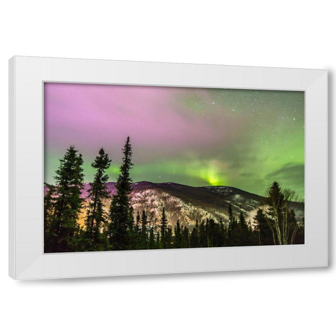 Alaska-Fairbanks Aurora borealis over mountain landscape White Modern Wood Framed Art Print by Jaynes Gallery