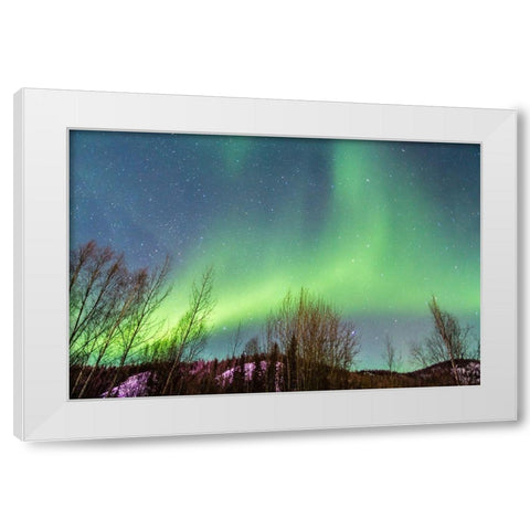 Alaska-Fairbanks Aurora borealis over mountain landscape White Modern Wood Framed Art Print by Jaynes Gallery
