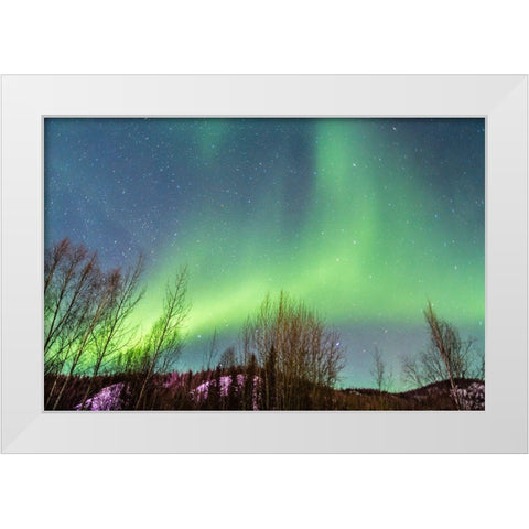 Alaska-Fairbanks Aurora borealis over mountain landscape White Modern Wood Framed Art Print by Jaynes Gallery