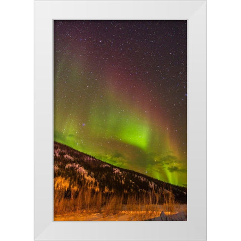 Alaska-Fairbanks Aurora borealis over mountain landscape White Modern Wood Framed Art Print by Jaynes Gallery