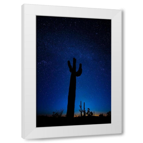 A giant saguaro cactus silhouettes in the clear Arizona evening White Modern Wood Framed Art Print by SMO