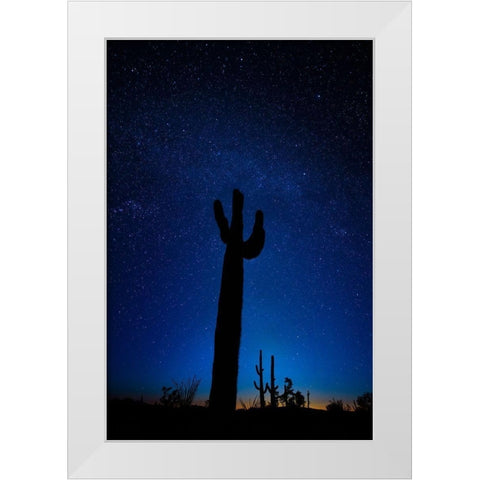 A giant saguaro cactus silhouettes in the clear Arizona evening White Modern Wood Framed Art Print by SMO