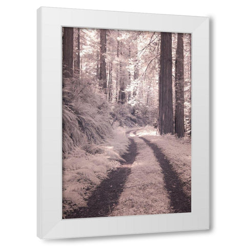 California Redwood National Park-infrared of Redwood forest along the old Pacific Highway White Modern Wood Framed Art Print by Eggers, Terry