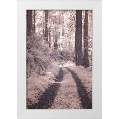 California Redwood National Park-infrared of Redwood forest along the old Pacific Highway White Modern Wood Framed Art Print by Eggers, Terry