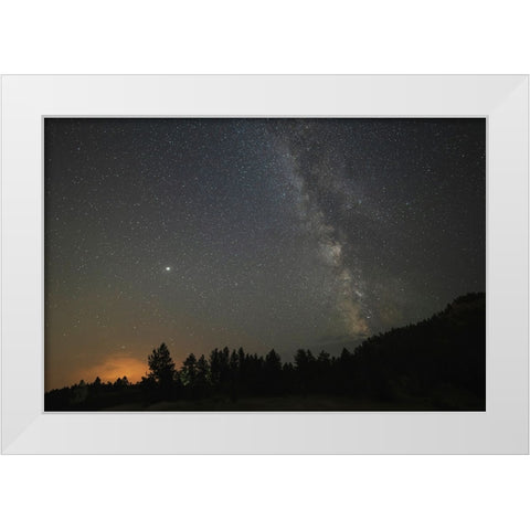 USA-Colorado-Eleven Mile Canyon The Milky Way galaxy and forest silhouette at night White Modern Wood Framed Art Print by Jaynes Gallery