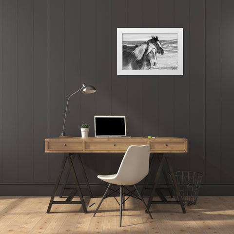 USA-Colorado-Westcliffe Music Meadows Ranch Ranch horses in winter White Modern Wood Framed Art Print by Hopkins, Cindy Miller