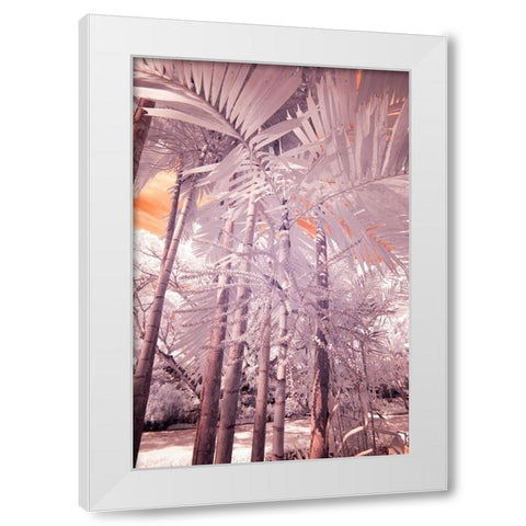 USA-Hawaii-Kauai-Infrared of palm trees of Kauai White Modern Wood Framed Art Print by Eggers, Terry