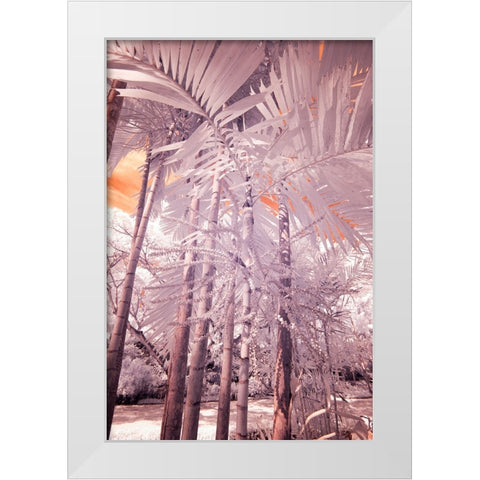 USA-Hawaii-Kauai-Infrared of palm trees of Kauai White Modern Wood Framed Art Print by Eggers, Terry