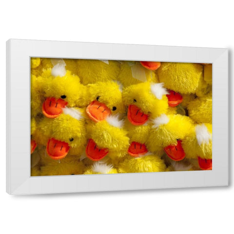 Indiana, Indianapolis Display of stuffed ducks White Modern Wood Framed Art Print by Kaveney, Wendy