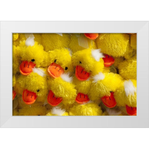 Indiana, Indianapolis Display of stuffed ducks White Modern Wood Framed Art Print by Kaveney, Wendy