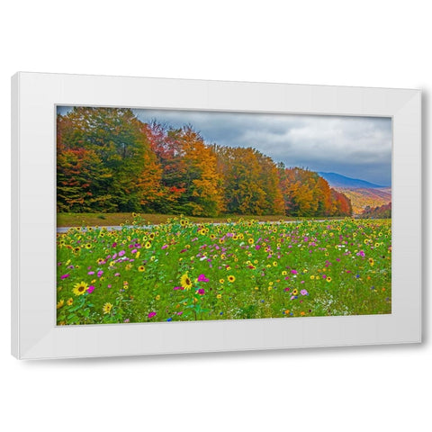USA-New Hampshire-White Mountains in background with meridian planted with flowers along Interstate White Modern Wood Framed Art Print by Gulin, Sylvia