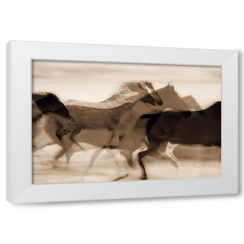 Sepia abstract of wild mustangs (Equus caballus) running Oregon-USA White Modern Wood Framed Art Print by Westmorland, Stuart