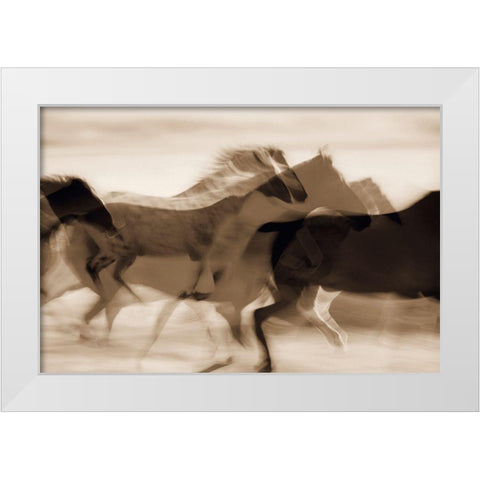 Sepia abstract of wild mustangs (Equus caballus) running Oregon-USA White Modern Wood Framed Art Print by Westmorland, Stuart