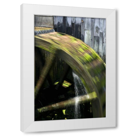 TN, Cades Cove Grist mill water wheel in motion White Modern Wood Framed Art Print by Kaveney, Wendy