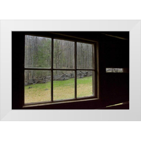 TN, Great Smoky Mts Jim Bales abandoned cabin White Modern Wood Framed Art Print by Kaveney, Wendy