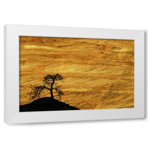 UT, Zion NP The silhouette of a small tree White Modern Wood Framed Art Print by Kaveney, Wendy
