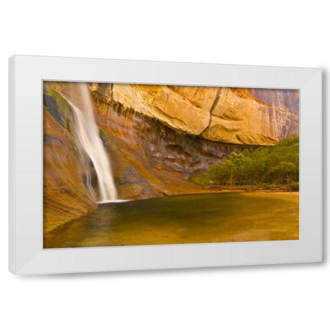 UT, Lower Calf Creek Falls Waterfall into pool White Modern Wood Framed Art Print by Illg, Cathy and Gordon