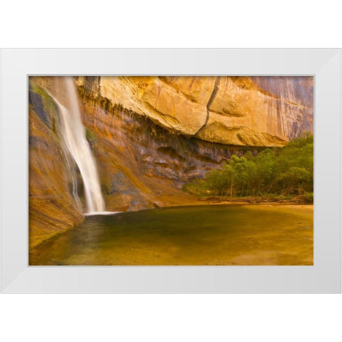 UT, Lower Calf Creek Falls Waterfall into pool White Modern Wood Framed Art Print by Illg, Cathy and Gordon