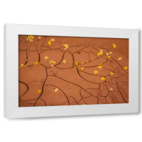 Utah, Capitol Reef Cracked mud and fall leaves White Modern Wood Framed Art Print by Illg, Cathy and Gordon