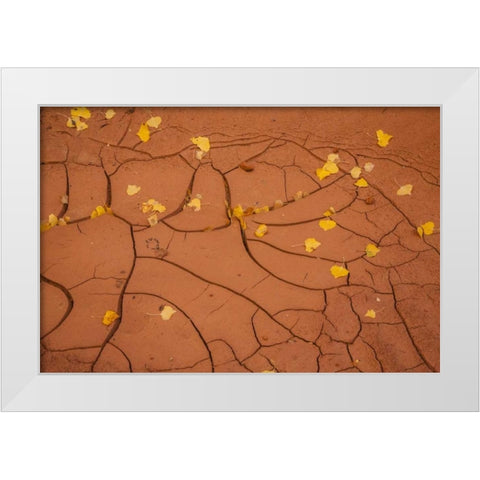 Utah, Capitol Reef Cracked mud and fall leaves White Modern Wood Framed Art Print by Illg, Cathy and Gordon