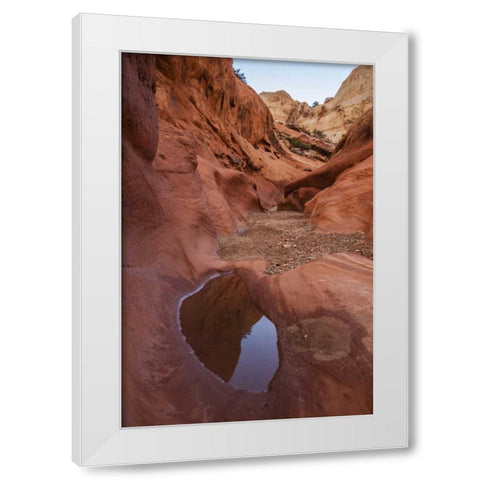 UT, Capitol Reef Lower Muley Twist Canyon pools White Modern Wood Framed Art Print by Illg, Cathy and Gordon