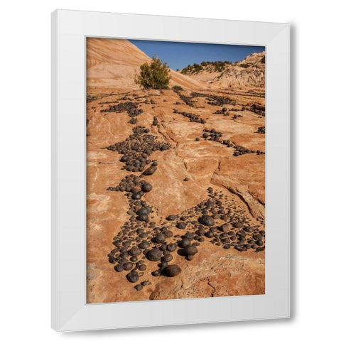 UT, Grand Staircase Escalante NM Moki marbles White Modern Wood Framed Art Print by Illg, Cathy and Gordon